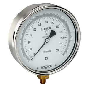 Precision Test Gauge, 6" 304SS Case, Copper Alloy Internals, 200 psi, 1/4 NPT Bottom Conn